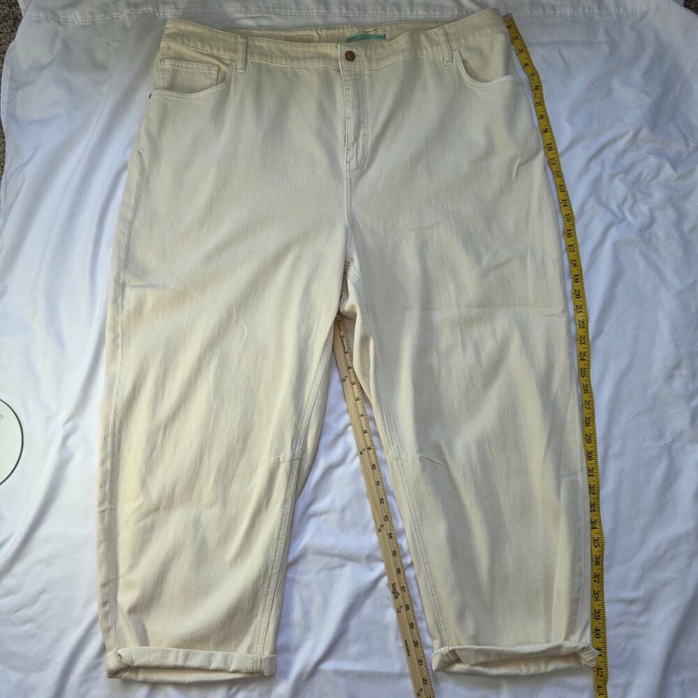 Pilcro Anthropologie The Bow boyfriend jeans 24W Plus Womans Jeans White Ykk Zip